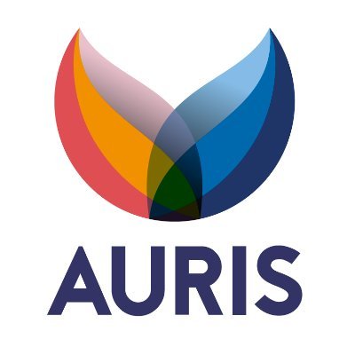 Auris Koninklijke Auris groep