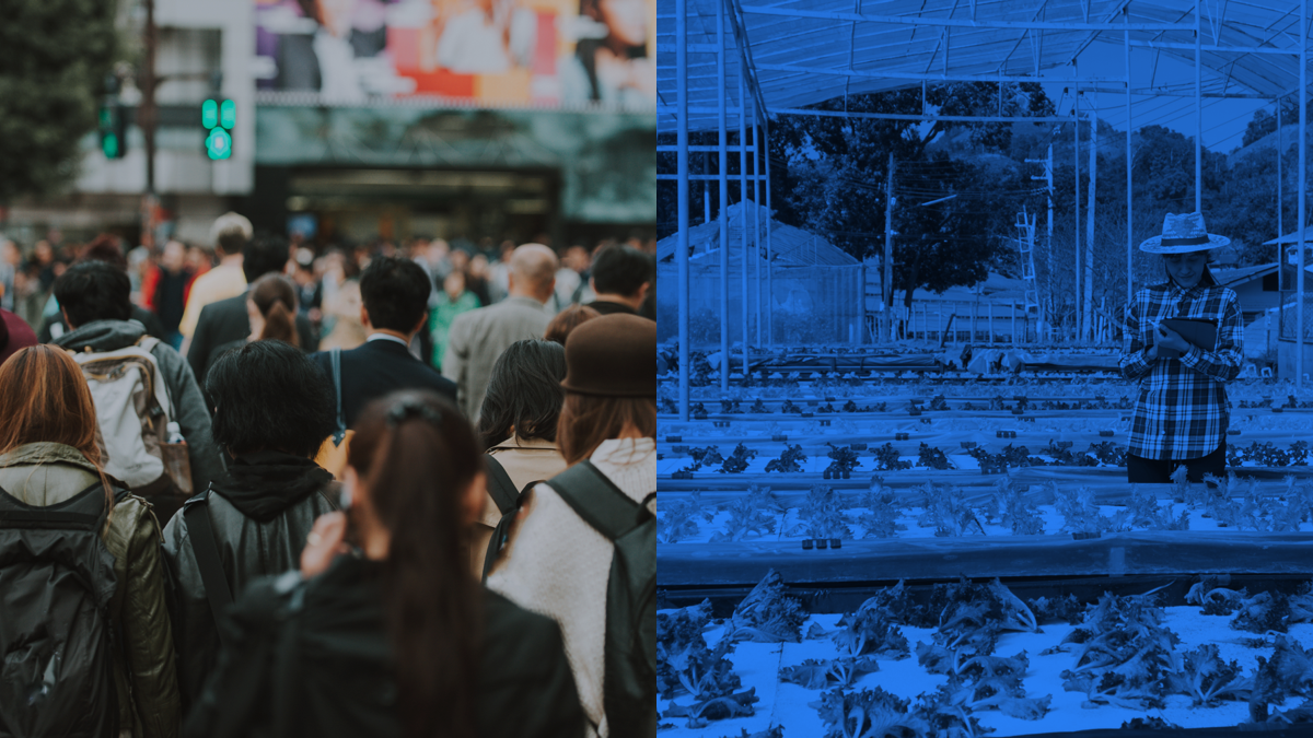 HR lead bij World Benchmarking Alliance (vergevorderd)
