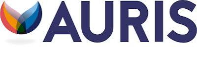 Koninklijke Auris groep
